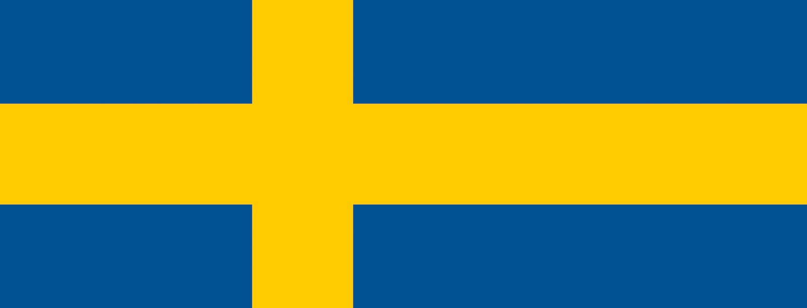 Swedish students flag when studying in Montevideo Uruguay